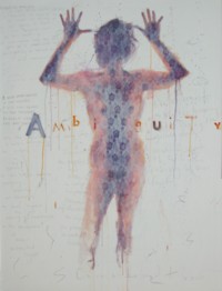 veil of ambiguity