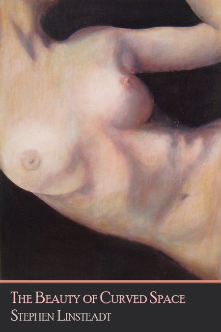 the beauty of curved space - stephen linsteadt