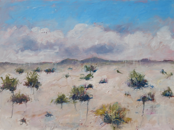 Of Sky and Earth #23 l stephen linsteadt